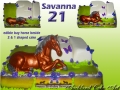 SAVANNAHS 21ST