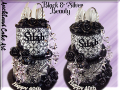 BLACK-AND-SILVER-BEAUTY