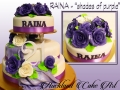 RAINA SHADES OF PURPLE