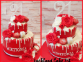 RED-AND-SILVER-21