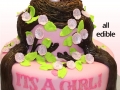 Tweet Tweet its a Girl