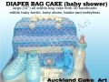Designer Diaper/Nappy Bag 2