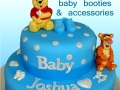 Baby Teddy