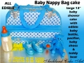Designer Diaper Bag
