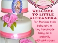 Baby Alexandra