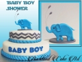 BABY BOY SHOWER