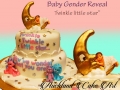 BABY GENDER REVEAL (STAR)
