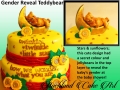 GENDER REVEAL TEDDYBEAR