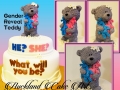 Gender Reveal Teddy