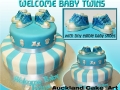 WElcome Baby Twins