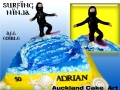 SURFING NINJA