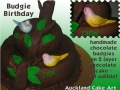 BUDGIES 2