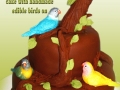 BUDGIES