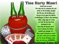 TINO HARTY