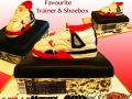 FAVOURITE TRAINER & SHOEBOX