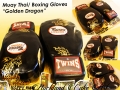 MUAY THAI GOLDEN DRAGON GLOVES