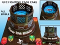 UFC FIGHTING CAGE
