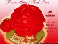 ROSE 3D