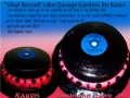 VINYL RECORD