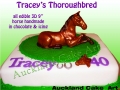 TRACEYS HORSE