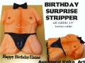 BIRTHDAY SURPRISE STRIPPER