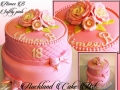 AIMEE B SOFTLY PINK