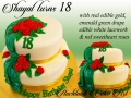 SHAYAL TURNS 18
