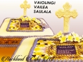 VIOLINGI