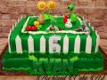 PLANTS-V-ZOMBIES