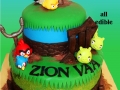 ZIONS ANGRY BIRDS