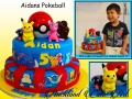 AIDANS POKEBALL
