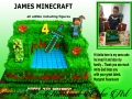 JAMES MINECRAFT