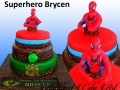 SUPERHERO BRYCEN