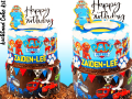 ZAIDEN-LEE-PAW-PATROL
