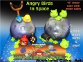 SPACE ANGRY BIRDS