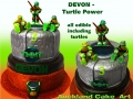DEVON TURTLES