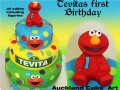TEVITAS FIRST BIRTHDAY