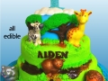 AIDENS JUNGLE