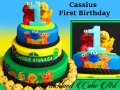 CASSIUS FIRST BIRTHDAY