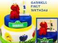 GABRIELS FIRST BIRTHDAY