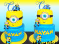 HAYAN-MINION