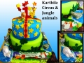 KARTHIK ANIMALS