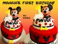 MANAIA'S FIRST BIRTHDAY