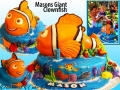 MASONS GIANT CLOWNFISH