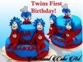 TWINS first birthday