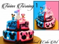 TWINS TURNING 1 .jpg