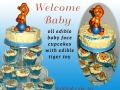 BABY BOY CUPCAKES
