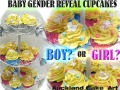 GENDER REVEAL CUPCAKES