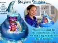 SHAYNAS DOLPHINS