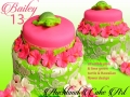 BAILEY 13